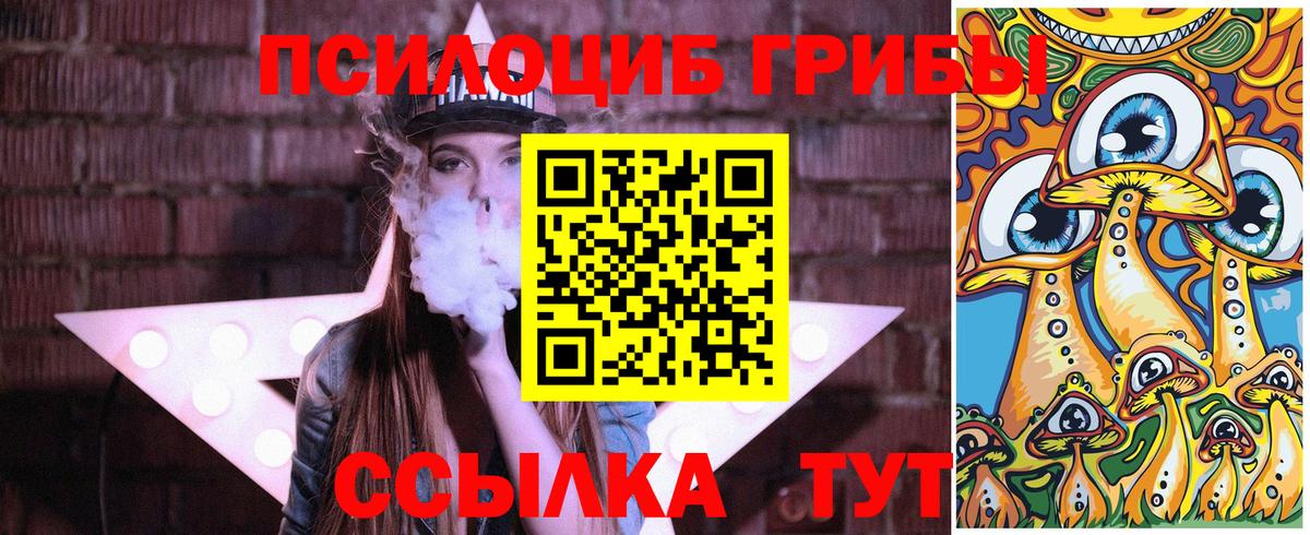 Псилоцибиновые грибы мицелий  Галлюциногенные грибы Psilocybe  Зима  Вход с VPN 